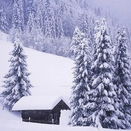 Spacious Chalet 펜션 *