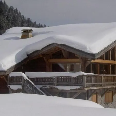 Spacious Chalet